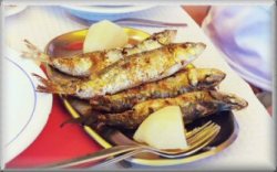 Sardines like never before