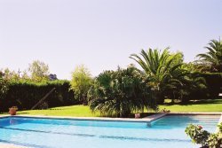 Pool and garden