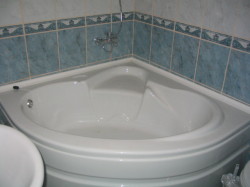 corner bath with shower