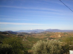View from terrace