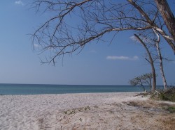 Stump Pass Beach