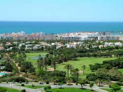 THE VIEW FROM THE BALCONY