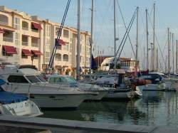 THE MARINA