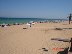 Local Beach