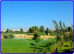 View of golf course