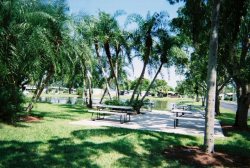 Pond and Picnic Area