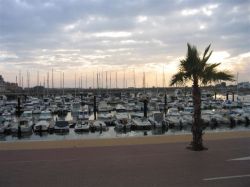 The Marina