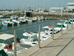 The marina.