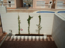 Front garden