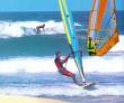 A must for surfing fans