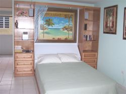 Murphy Bed - Open