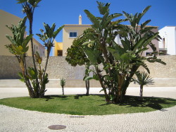 View  from Bedrooms