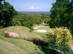 The 7th Par 3 Sandy Lane Old Nine
