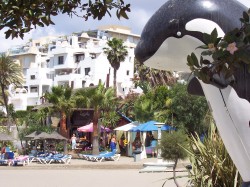 The beautiful beach at Estepona