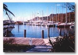 The marina