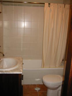 Large Bathroom with shower over