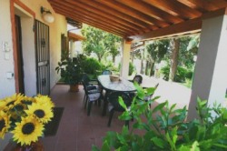 Patio Glicine apartment
