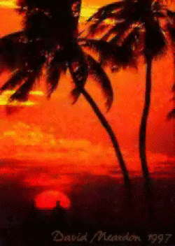 Spectacular Sunsets on Captiva Island