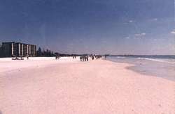 World Famous Siesta Key