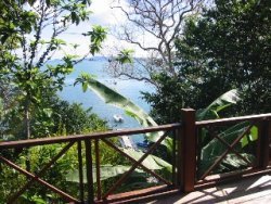 View from terrace