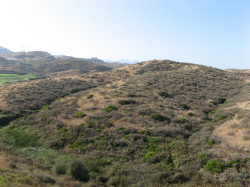 view from bedroom