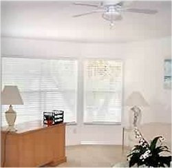 The Study