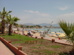 main beach