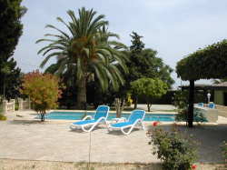 Terrace & Pool