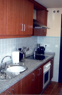 The modern kitchen
