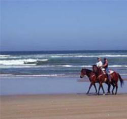 Chiclana beach