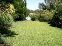 Lawn & Gardens