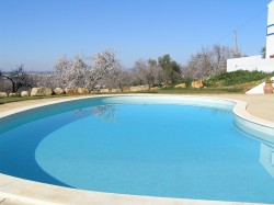 Pool and Almond Grove