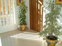 Foyer area