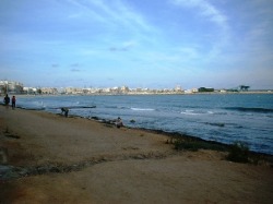 Looking north to the marina