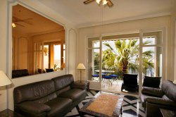Your own palm tree outside!