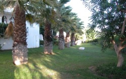 Roadside garden
