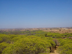 Surrounded by lovely Algarve countryside
