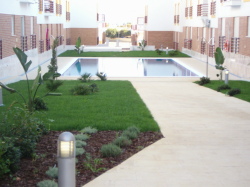 The pool.
