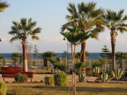 The lovely gardens in our complex