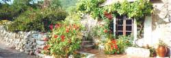 Top garden