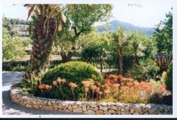 Garden image