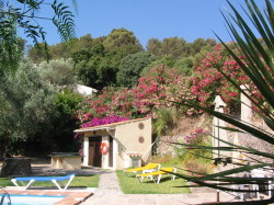 Garden cottage and beautiful flowers