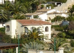 CASA PALMERA