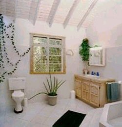 huge bathroom with big shower - white ap