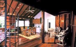 view into our 