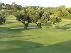 18th Fairway at Pinta Golf Course (5 Min