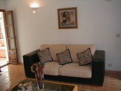 Comfortable living room sofa and cushion