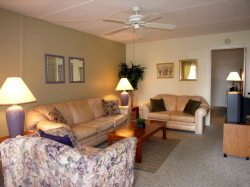 Living Room in unit 151