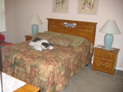 Master bedroom 2