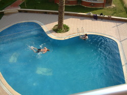 enjoy cooling down in our  8m x 12m pool